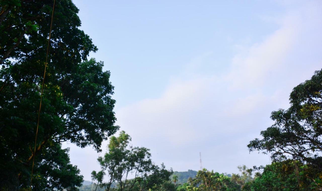 Ceylon Saradiel Home Stay Mawanella Dış mekan fotoğraf