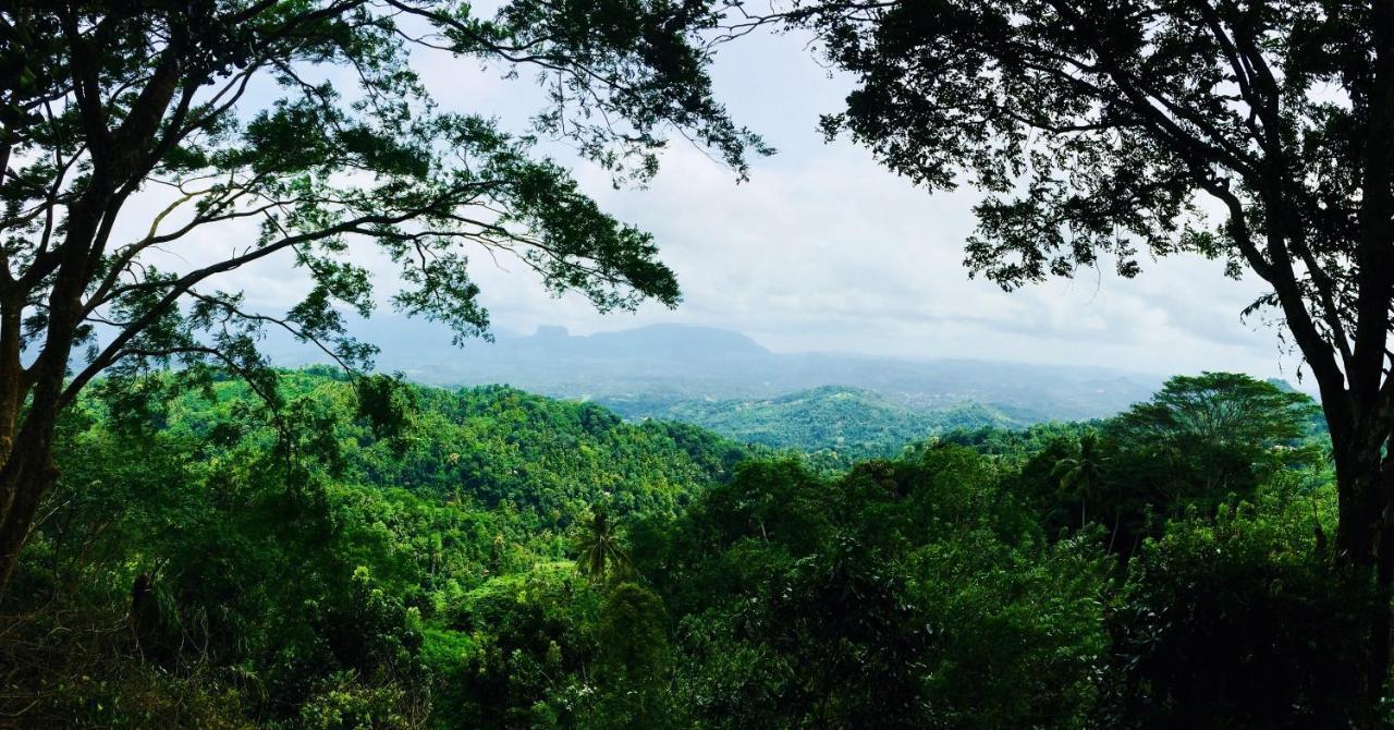 Ceylon Saradiel Home Stay Mawanella Dış mekan fotoğraf